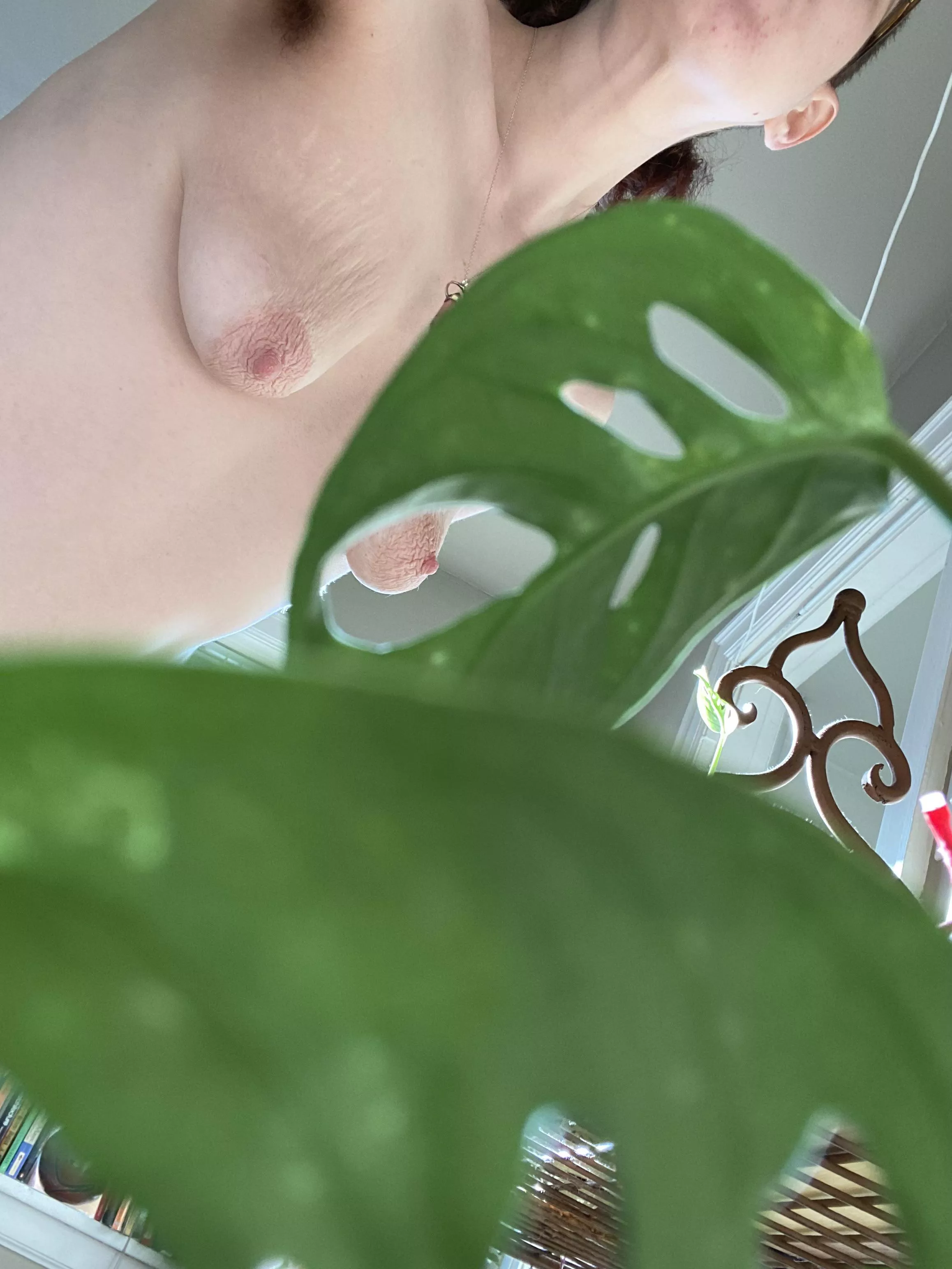 What my plants see posted by Geminiofmedina