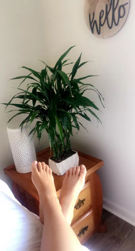 What should I paint them?? by brookbehave