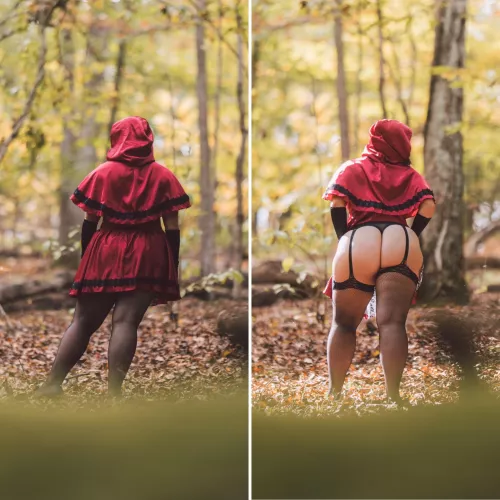 What the Big Bad Wolf was actually after…. by morganlove681