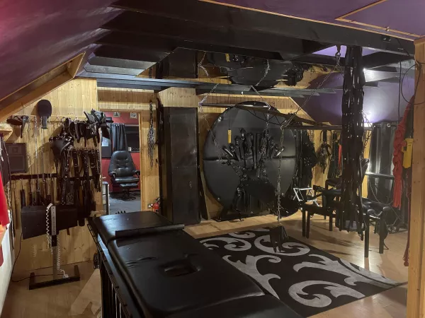 What to do today 🤔