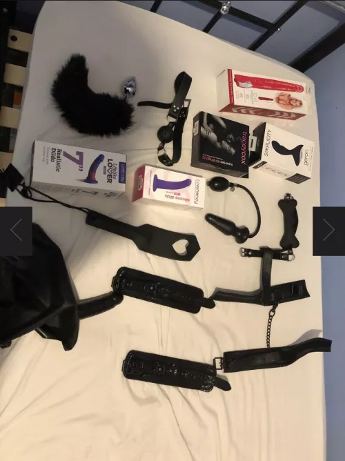 What toy should I get next? by MeetEquivalent3211