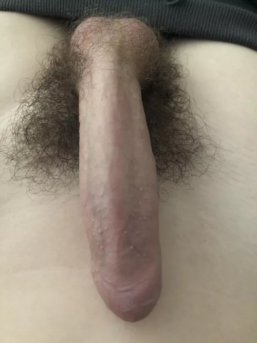 What u wanna see? by InspectionTight