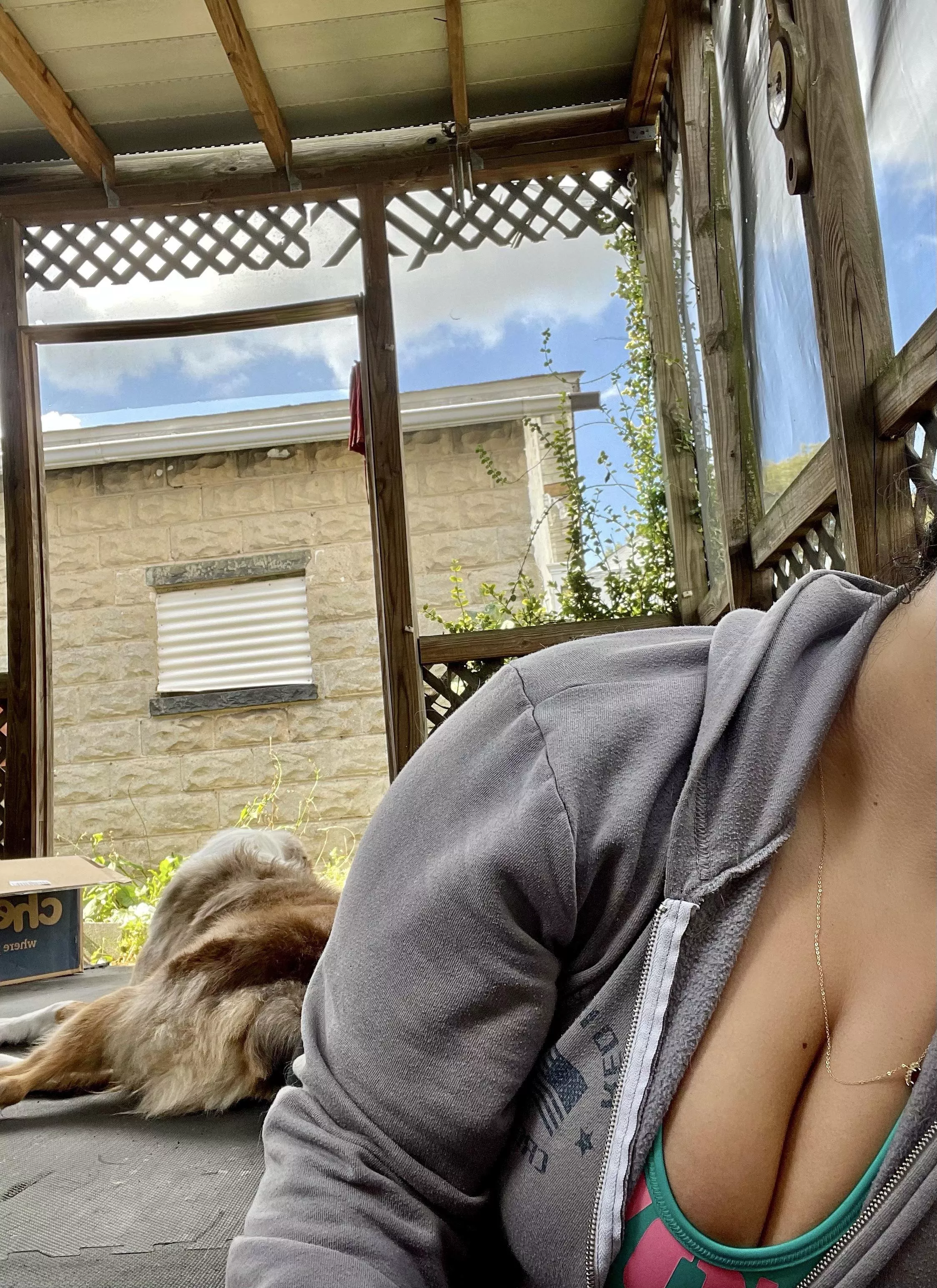 What workouts with a clingy dog look like posted by princesskx