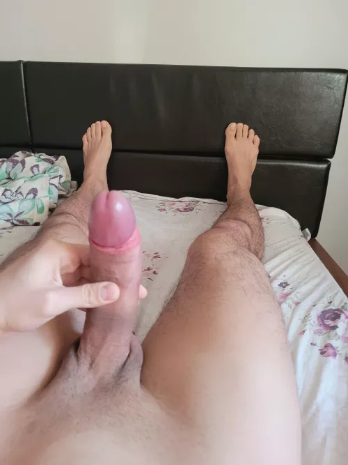 What would you choose? by Cutedick16