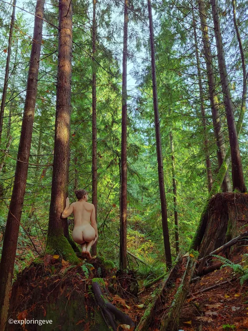 What would you do if you found me like this in the (f)orest? 🌲 by ExploringEve0