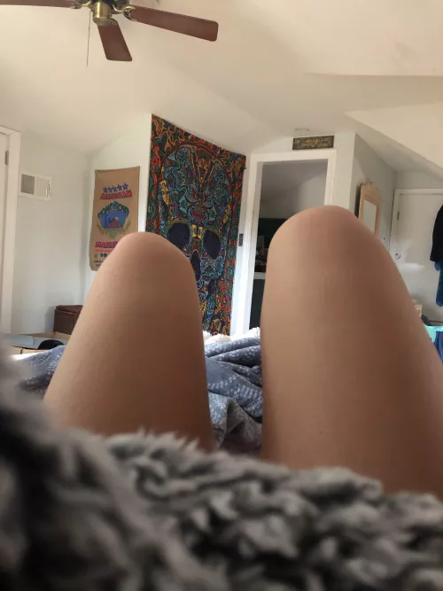 What would you do if you were cuddled up in this blanket with me? by ImCoolerInMyHead