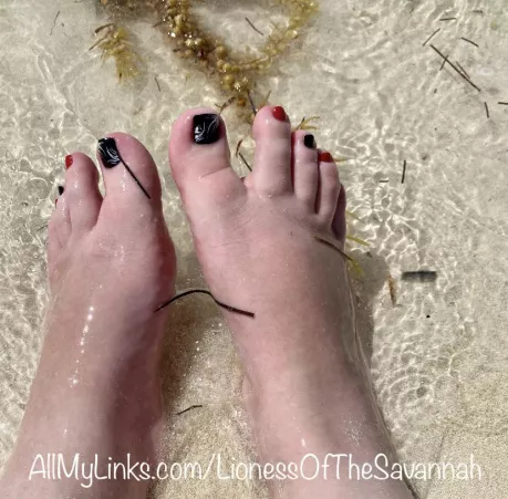 What would you do to my feet if you saw them playing in the water on the beach? 🌊🏝☀️ DM me! 😋 by Savannahs_Feet