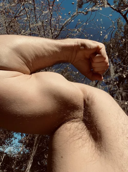 What would you do with it? by Euplectrus