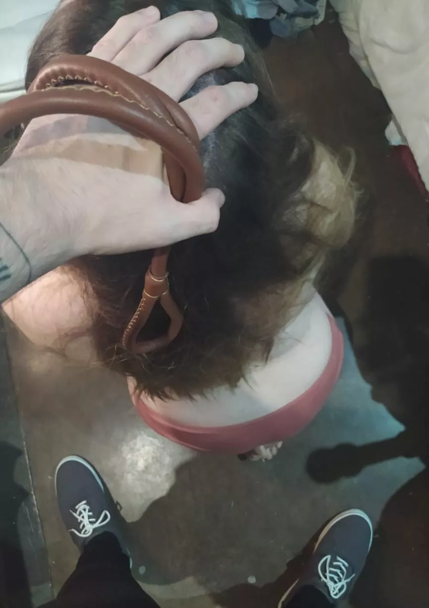 What would you do with me kneeling before you? posted by DevilishPenny