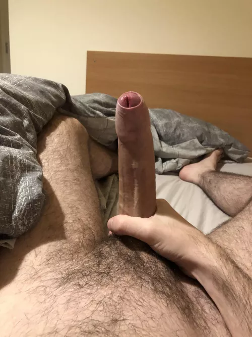 What would you like to do with this? by obsanotherthrowaway