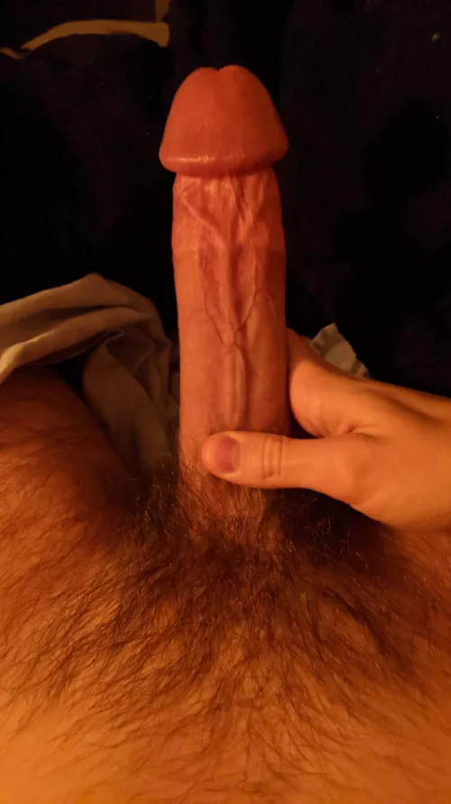 What you think, can you take it? by Fscho_