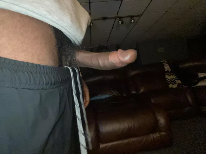 Whatcha think by Alarming-Code1020