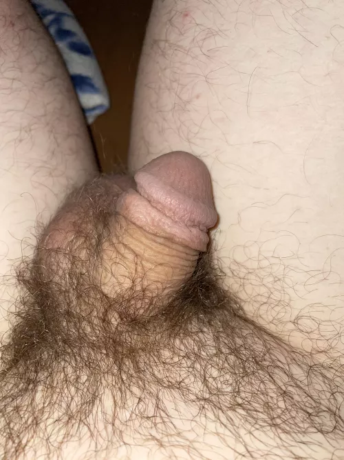 Whatcha think about this guy? [25] by Tersonan