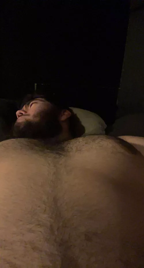 Whatchu lookin at? (19) by Hedgehog_Willing