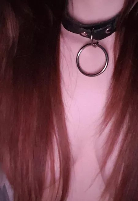 Whats better than a hairbra? A collar and a hairbra by lilyclark425