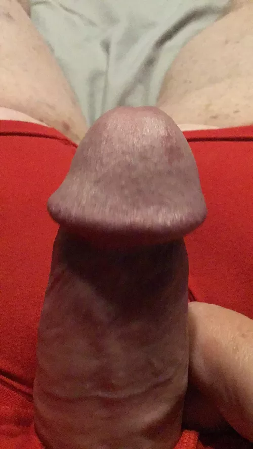 What’s it worth? by Carolinaman2175