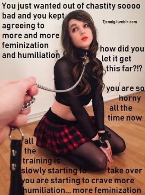 What's next? by totallylegitdude