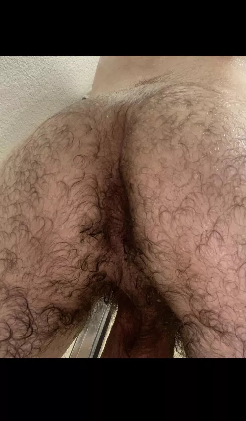 What’s the verdict on this hairy ass ? by Livewrong710