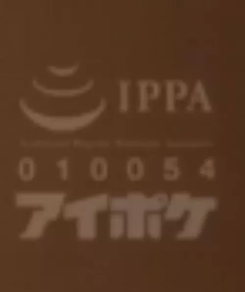 Whats this Jav studio? (under the ippa code) by hmmmwhatsdis