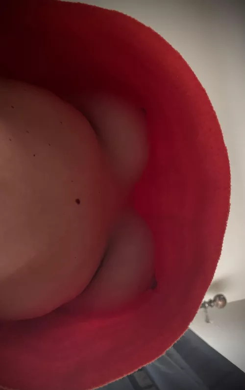 What’s under there? by jim_n_ginger