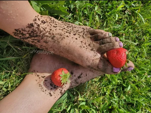 What's your favorite fruit? You can't say anything except Strawberries! Fetishes welcome but other content is available!! Subscribe for free! Want my link? by Kelstayce