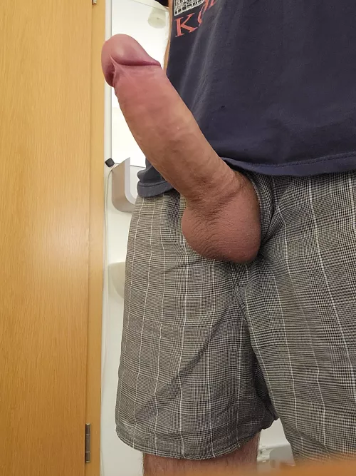 Whelp, whelp, whelp. Verdict? by dinghycloud