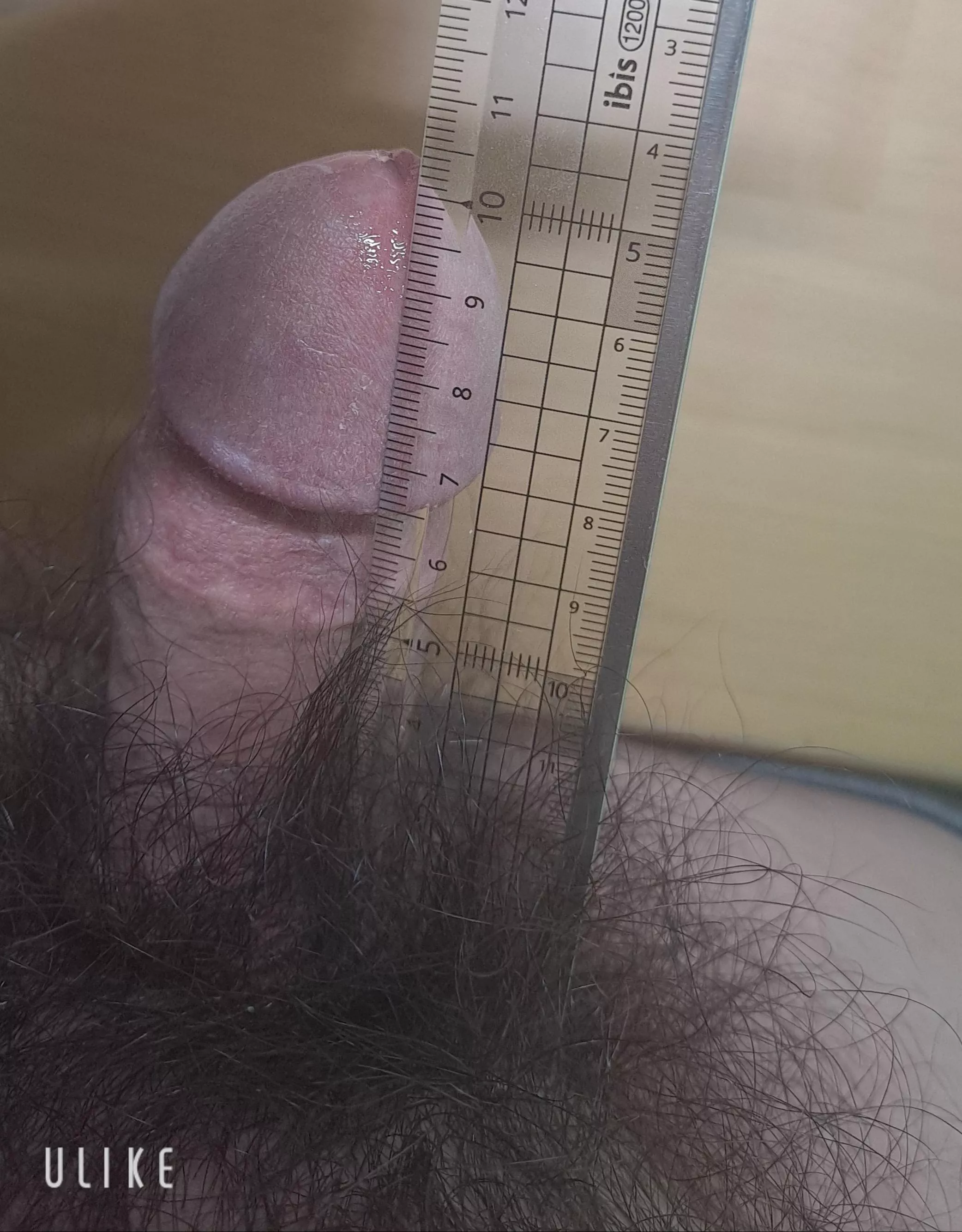 When an adian dick is fully hard😉 posted by [deleted]