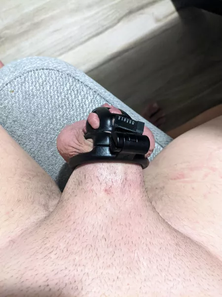 When I get a little excited, but my little dick is locked. by Ok_Honeydew9100