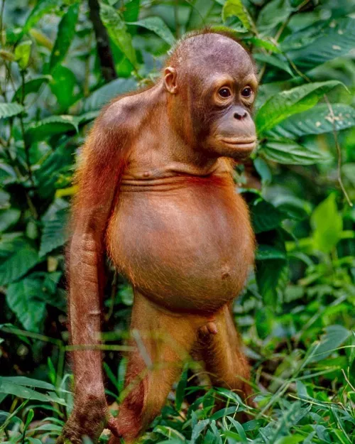 When it's date night, but she says she's tired. by Heathen06