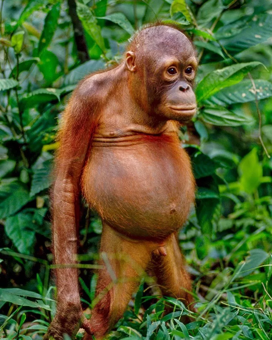 When it's date night, but she says she's tired. posted by Heathen06