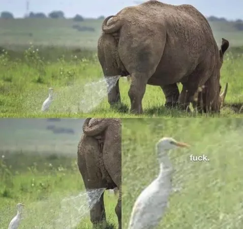 When she catfish you, and squirts all over you...