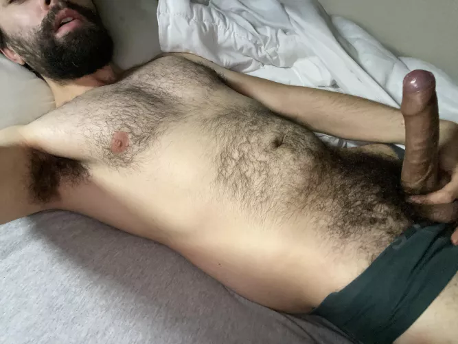 When the drapes match the carpet by rockohardy