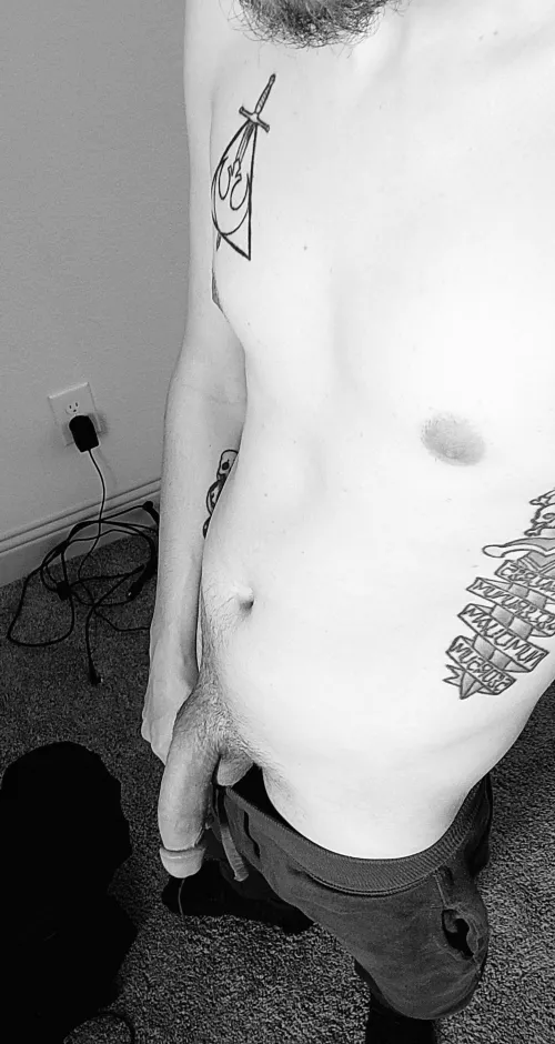 When the family finally leaves 😂 by GolfAlfaPapa