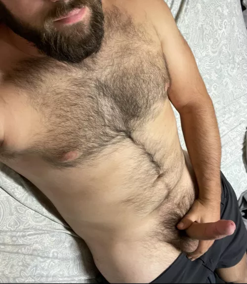 When the leafs start to fall, the wood is always exposed by newhorizon56