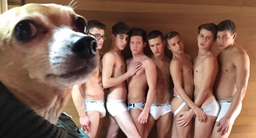 When the owners go away for the weekend and leave the son to look after you.... by JoshiBracegirdle