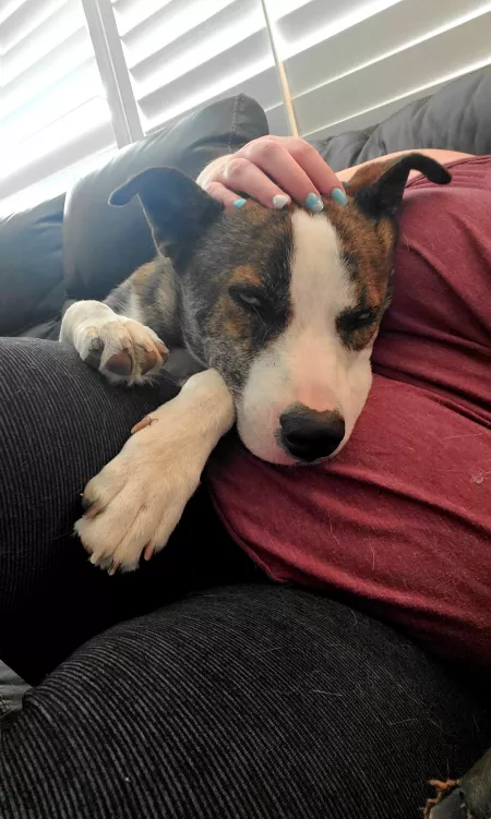 When you just need some cuddles by gebamami