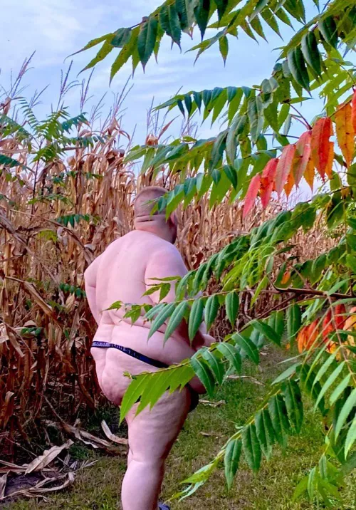 Where am I going to find a chaser out by this field? by hurqazoid2