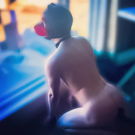 Where are all the pups with the bubble butts? by white-pup