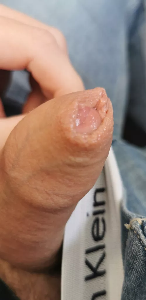 Where are all you foreskin and precum fans? by softyfan