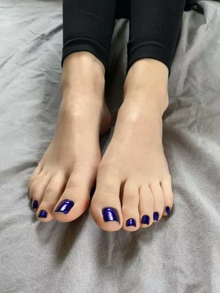 Where are the midnight blue fans?💙 by averyysworld