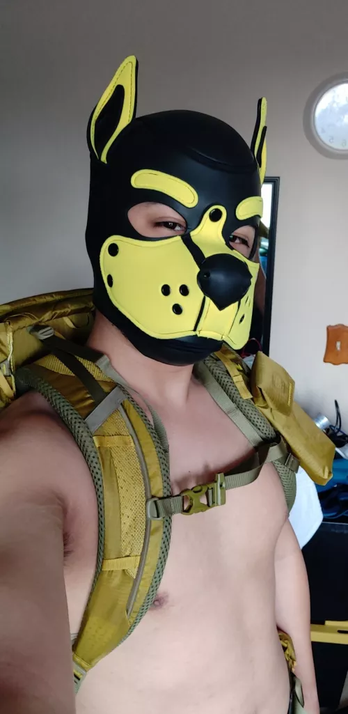 Where my backpacking pups at??? Let's take a hike~ by poke_pup