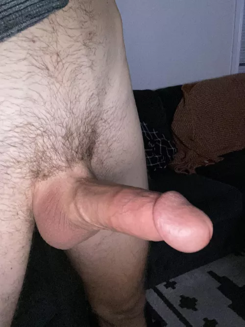 Where should I put this ? 🪵 by ralphjennings