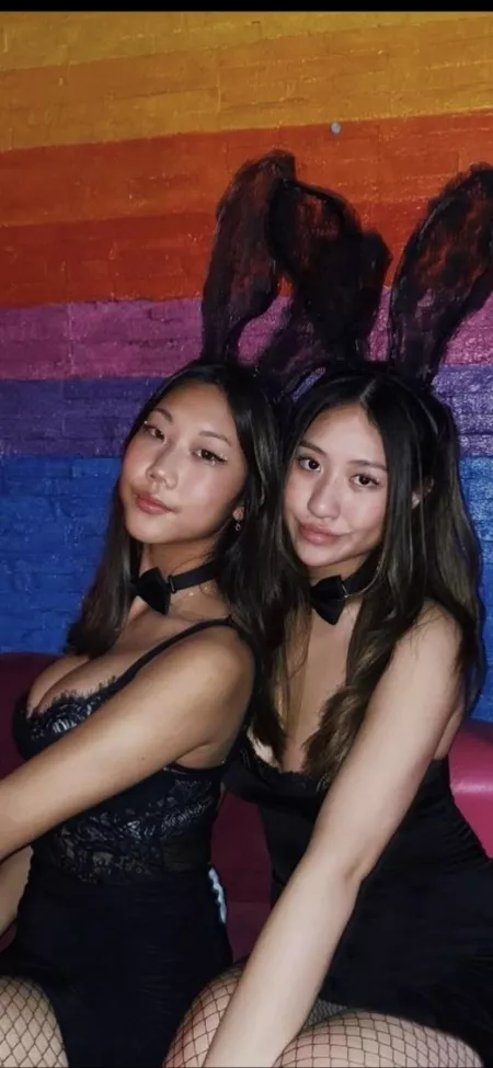 Which asian bunny u playing with [2] by Vampire881