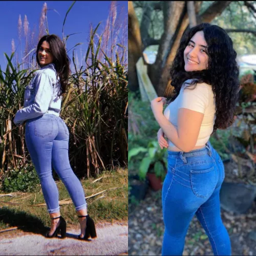 Which ass would you never get tired of fucking? [2] by Kooky-Race7505