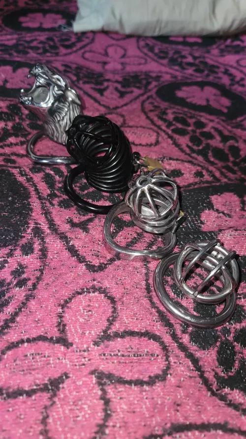 Which cage do you guys like best? Or do you want a demonstration of each one then decide? by smallcock1313