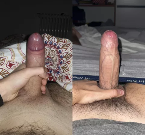 Which cock you like most? Left (friend) or right (mine)? Both uncut by anonymous21970