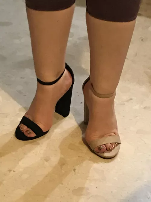 Which color is your fave? by TigOlBittie_Wife