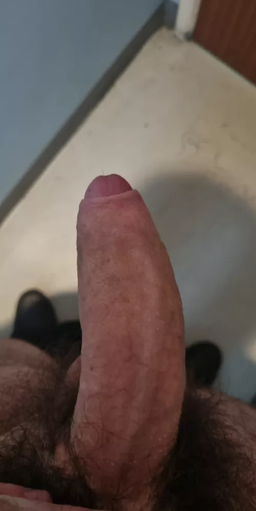 Which fag wants my cock by Sufficient_Poem2930