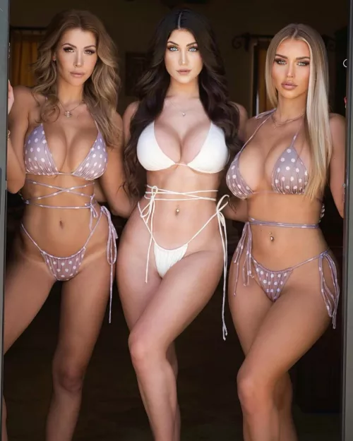 Which one? by SaintLex