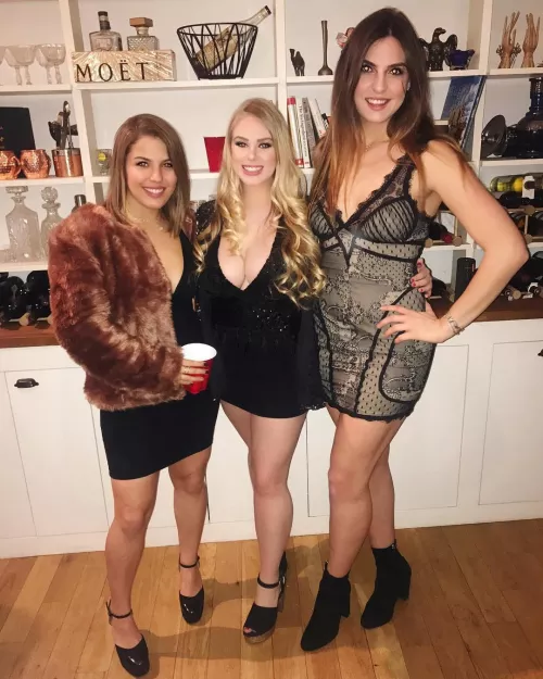 Which one? by pljath